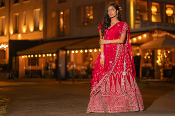 Pink Velvet Lehenga + Silver Jewelry Set – A Match Made in Style Heaven