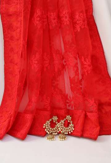 Red Ruby Luxe Net Sari